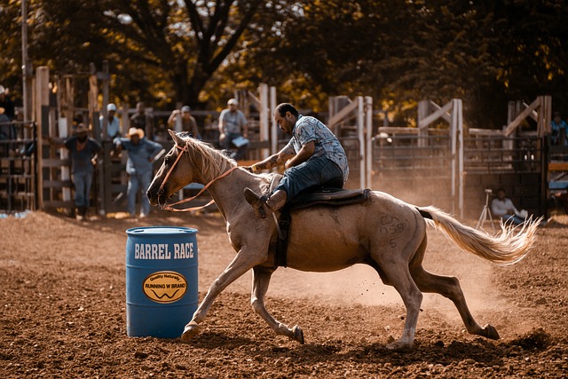 American Quarter Horse