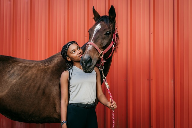 American Quarter Horse