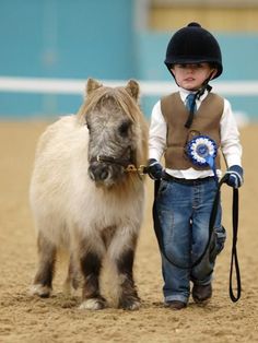 Miniature horse